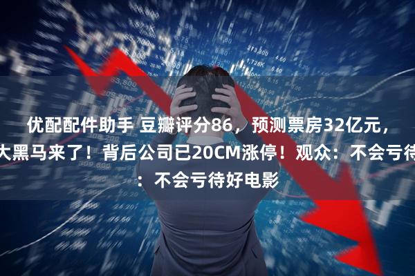 优配配件助手 豆瓣评分86，预测票房32亿元，暑期档大黑马来了！背后公司已20CM涨停！观众：不会亏待好电影