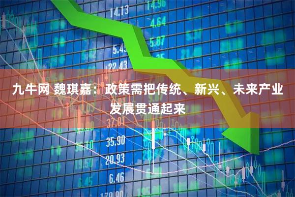 九牛网 魏琪嘉：政策需把传统、新兴、未来产业发展贯通起来