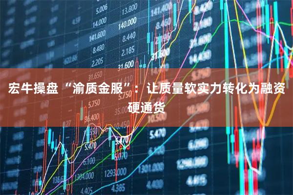宏牛操盘 “渝质金服”:让质量软实力转化为融资硬通货